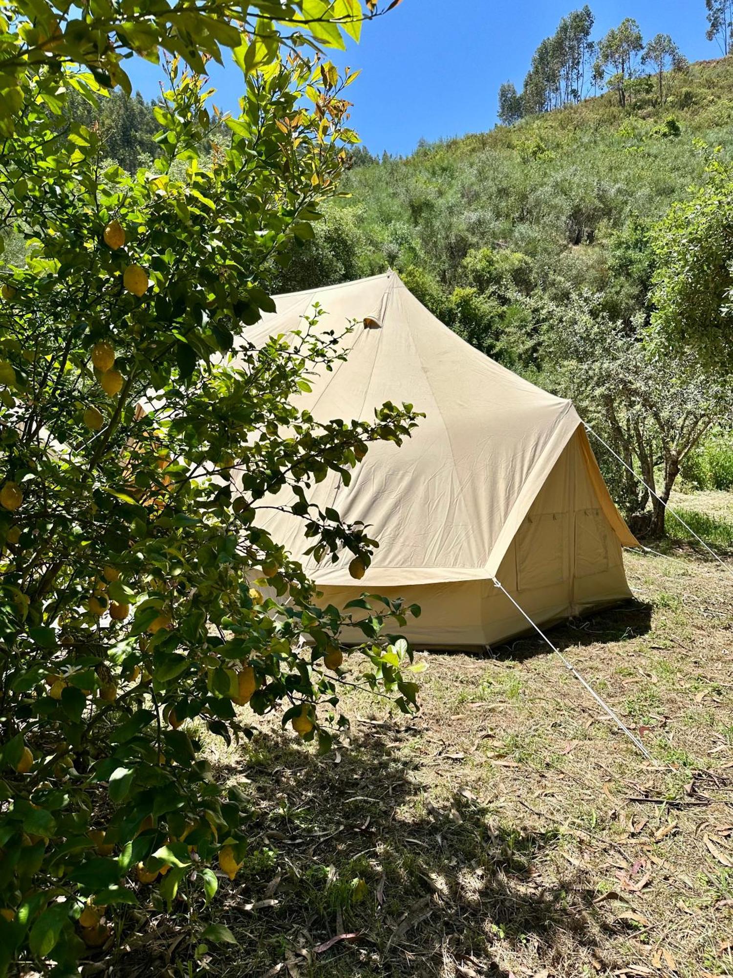 Giant Canvas Rental Tent Agro-Turismo Quinta Da Fonte Figueiro Dos Vinhos Buitenkant foto
